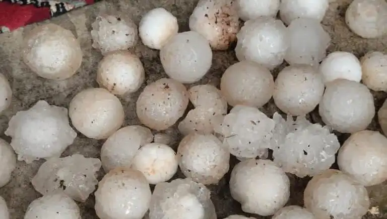 Şanlıurfa’da Kar Topu Büyüklüğünde Dolu Yağışı Hayatı Felç Etti!
