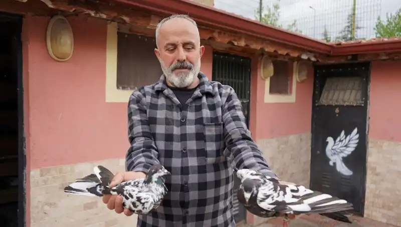42 Yıldır Süren Aşk: Hobiden Profesyonelliğe Geçiş ve Yüksek Talep!