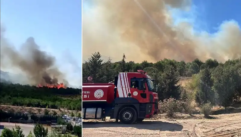 Gebze'de Orman Yangını: Yerel Ekipler Seferber Oldu!