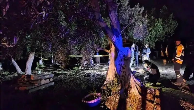 Çiftlikteki Baltalı Vahşete Şok Tutuklama: Olayın Arkasındaki Gerçekler