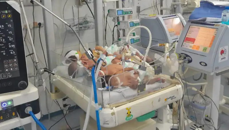 Gazzeli Doktorların Çağrısı: "Aynı Kuvözde Birden Fazla Bebek Kurtarmaya Çalışıyoruz"