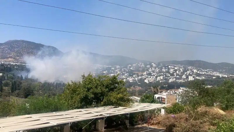 Muğla'daki Orman Yangınları Kontrol Altına Alındı: Doğa Yeniden Hayat Buluyor