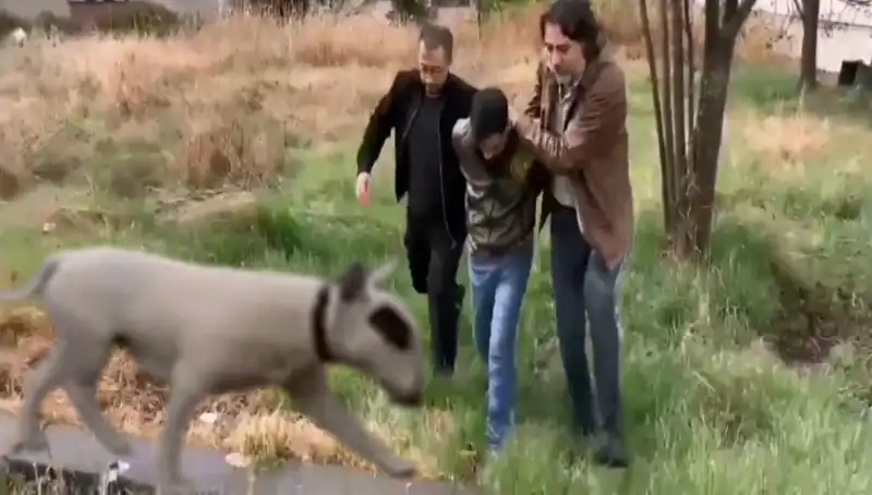 Şampiyon Köpeğin Hırsızlığı: 430 Bin Liralık Değer ile Gözaltına Alındı!