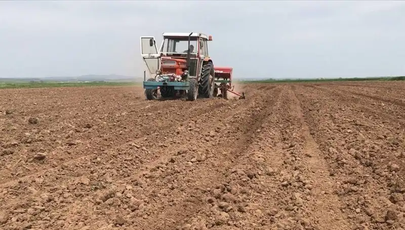 Son 35 Yılın En Kurak Mart'ı: Yağış Miktarında Tarihi Düşüş!