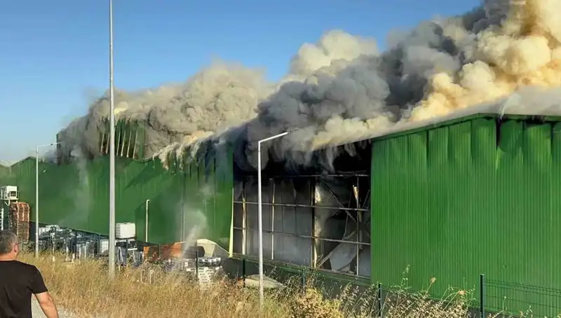 Balıkesir'deki Fabrika Yangınında Can Kaybı: 1 Kişi Tutuklandı!