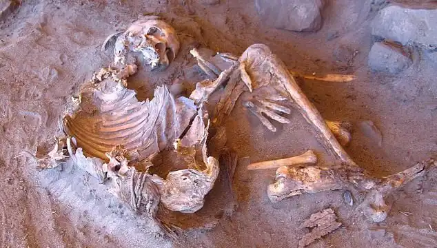 Yeni Mumya Keşfi: İnsanlığın Soy Ağacındaki Devrim