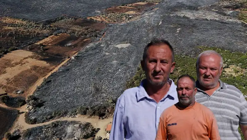 Çeşme Yangını: Küller İçinden Yeniden Doğuş Mücadelesi