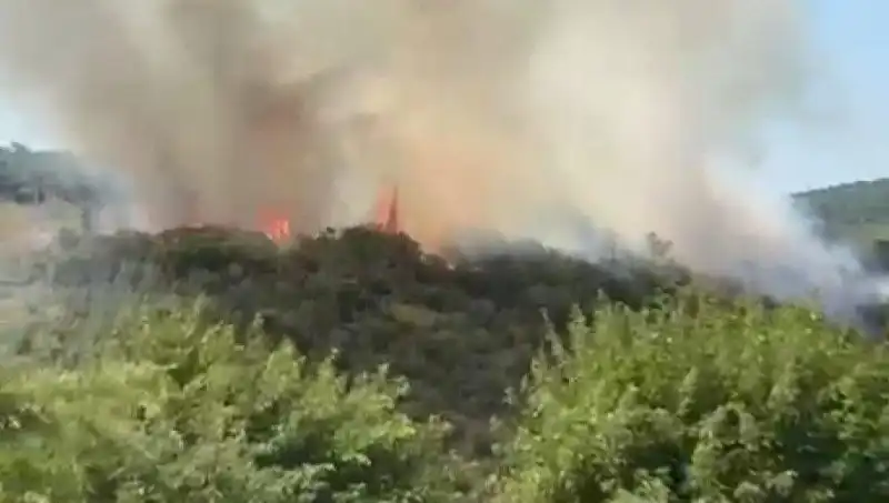 İstanbul’da Çıkan Orman Yangınında Vatandaşlar Tahliye Ediliyor!