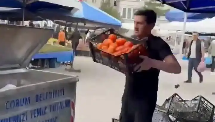 Domatesleri Çöpe Döken Pazarcının Aldığı Cezaya İnanamayacaksınız!