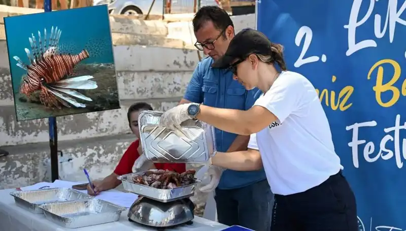 Antalya'da İstilacı Aslan Balığı Avlama Yarışması ile Denizlerde Rekabet Başlıyor!
