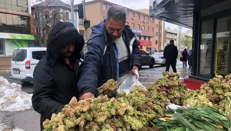 Kendiliğinden Yetişen Vitamin Deposunun Kanserle Mücadeledeki Rolü Nedir?