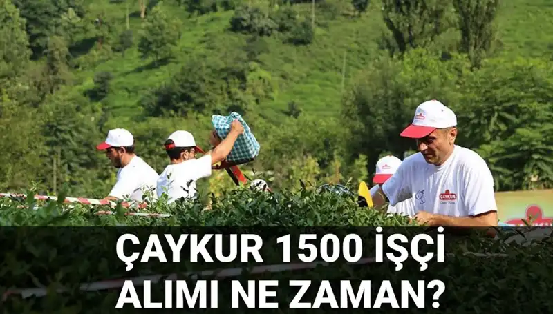 Çaykur İşçi Alımında Son Gelişmeler: Başvuru Tarihleri Neler Olacak?