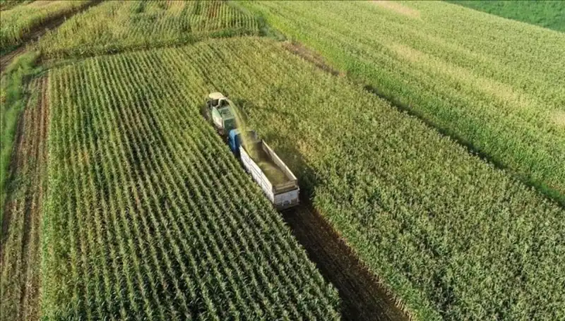 2025 Mart Ayında Mazot ve Gübre Desteği Ödemeleri İçin Son Gelişmeler