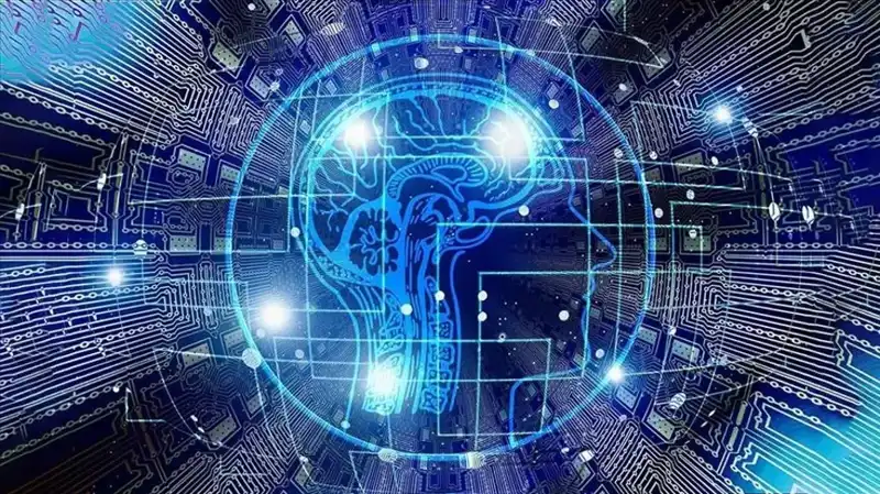 Kripto Para Piyasasında Şok Gelişme: Bot Sürüleri Dolandırıcılık Yapıyor!