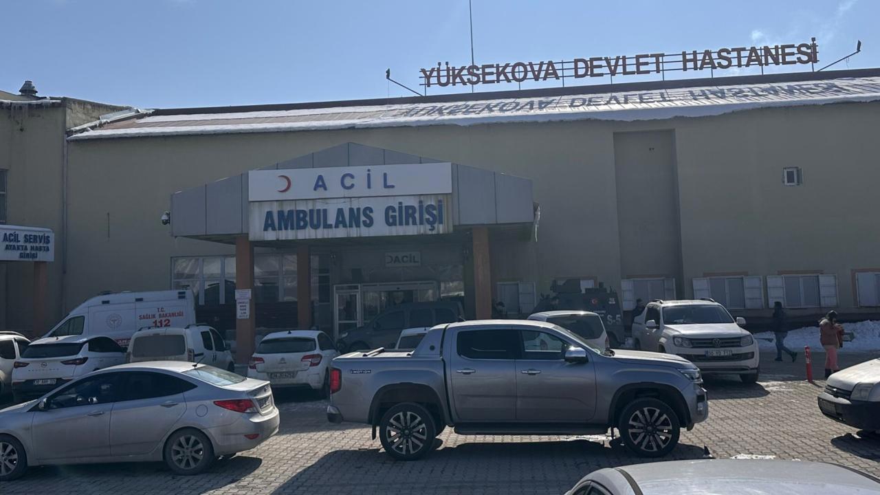 Hakkari'de Saldırgan Köpeklerin Kurbanı Çocuk Hayatını Kaybetti