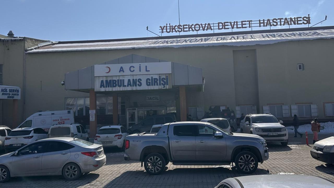 Başıboş Köpeklerin Saldırısıyla Ölen Çocuğun Ölümü İle İlgili Müfettiş Görevlendirildi