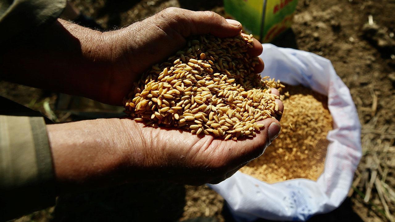 Tarım Kredi Marketlerinde Ata Tohumlarıyla Geleceğe Yatırım Yapın!
