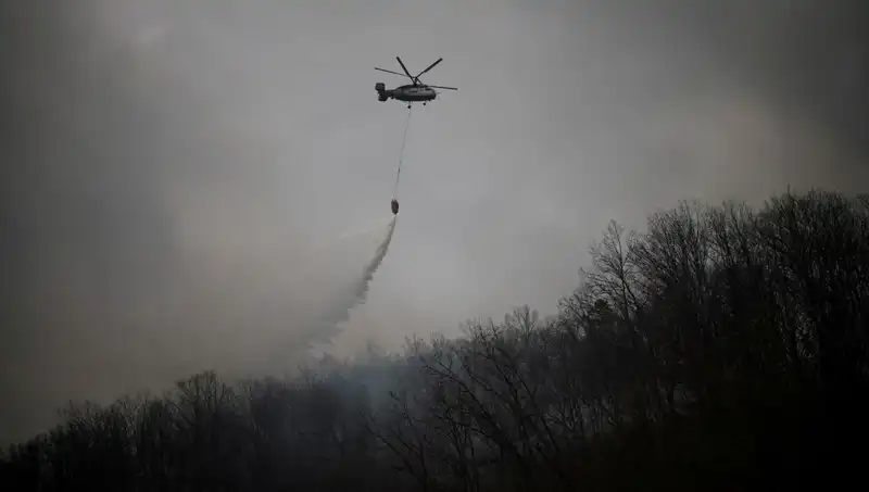 Güney Kore'de Helikopter Kazası: Yangın Söndürme Uçuşunda Trajik Ağıt