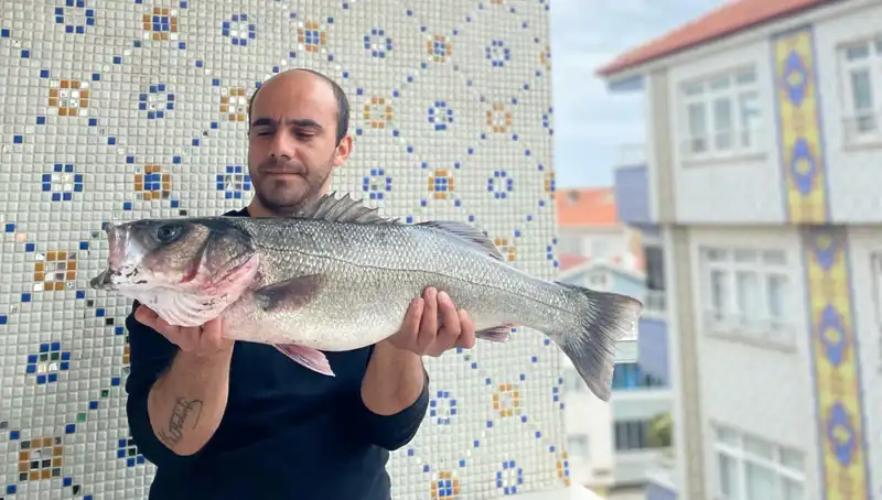 Yakaladığı 7,5 Kiloluk Dev Levrek ile Balıkçı, Doğanın Gizemini Ortaya Çıkardı