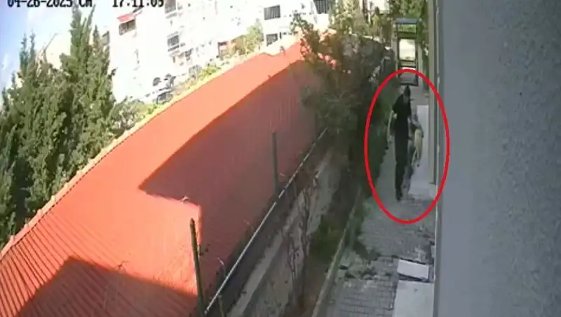 Veteriner Doktor, Sahiplendiği Köpekleri Evde Parçalayıp Öldürmekten Tutuklandı!