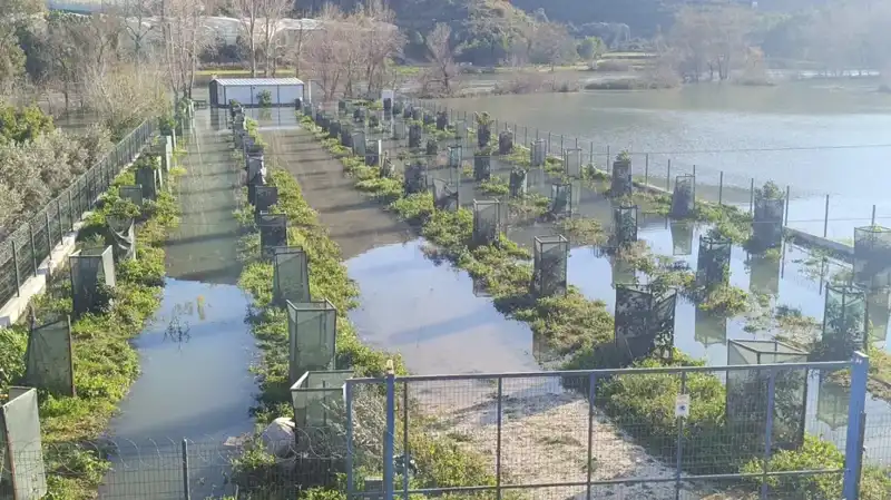 Irmak Taştı: Otoyol Şantiyesi Sular Altında Kaldı, Vatandaşlar Dikkat!