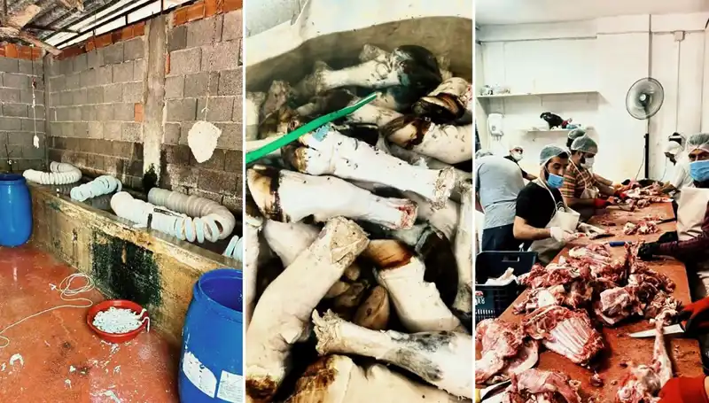 Adana'da Şok Geçiren Paça Operasyonu: Yüzlerce Kilo Ele Geçirildi