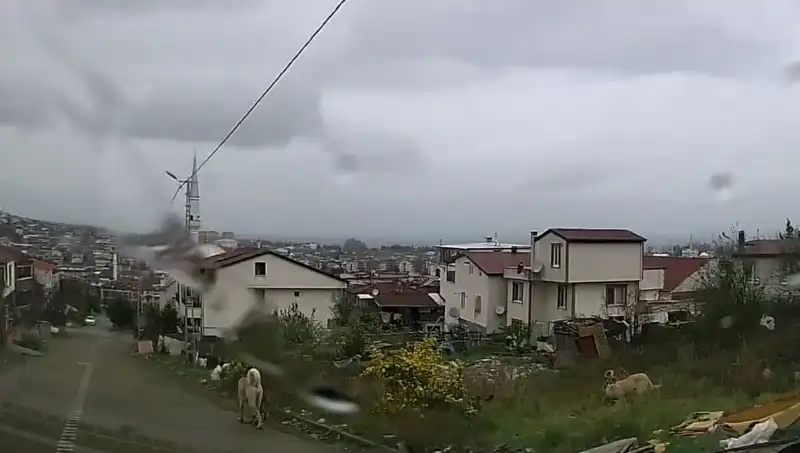 Sahipsiz Köpeklerin Saldırısı: 5 Yaşındaki Çocuğun Durumu Ciddiyetini Koruyor