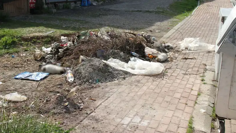 Antalya'da Korkunç Olay: 10 Kedi Ölü Bulundu, İnceleme Başlatıldı!